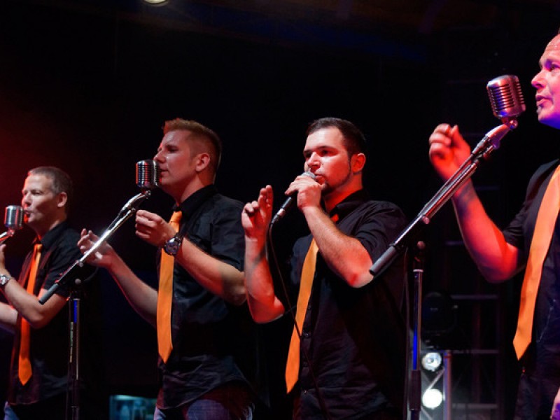 Band Bild